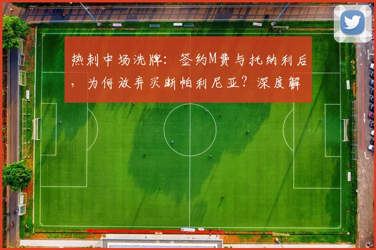 热刺中场洗牌：签约M费与托纳利后，为何放弃买断帕利尼亚？深度解析2026赛季战术调整