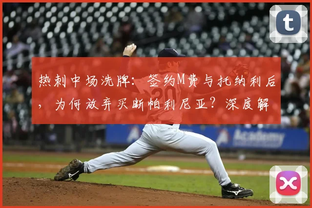 热刺中场洗牌:签约M费与托纳利后,为何放弃买断帕利尼亚?深度解析2026赛季战术调整