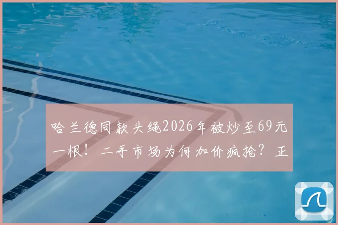 哈兰德同款头绳2026年被炒至69元一根！二手市场为何加价疯抢？正品购买渠道与收藏价值深度分析